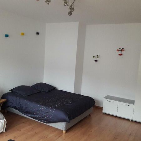 Mathilde'S Studio Lägenhet Strasbourg Exteriör bild